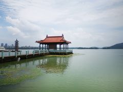 -无锡蠡湖国家湿地公园-蠡园