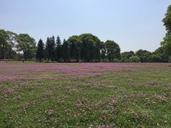 -福建鲤鱼洲酒店
