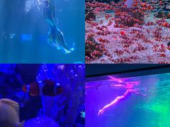 -海合安成都极地海洋公园