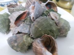 -叶存利海鲜大馅饺子(东戴河止锚湾店)