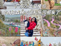 -盈香心动乐园