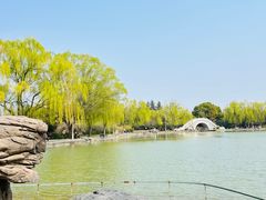 -洛阳市隋唐城遗址植物园