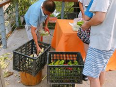 -前小桔亲子创意农场·草莓采摘·露营烧烤