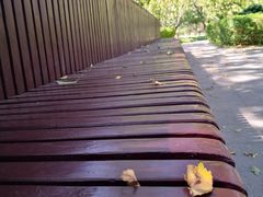 -永定河休闲森林公园