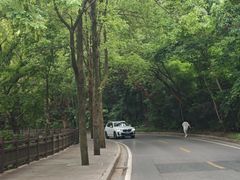 -潜山国家森林公园