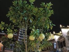 -泰宁旅游风景名胜区