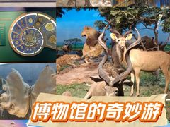 -国家自然博物馆