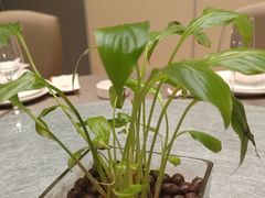 -小厨娘淮扬菜(江宁万达店)