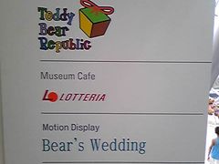 -济州岛泰迪熊博物馆