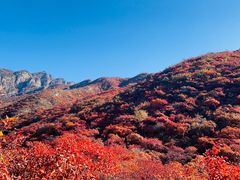 -周口店坡峰岭风景区