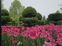 -北京世界公园