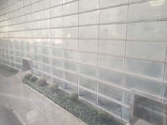 -上海汽车会展中心