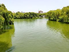 -济南大明湖景区