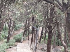 -云龙山