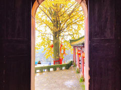 -佛荫寺