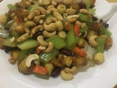 七彩掌中宝-鲤鱼塘农家山庄