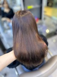 -藤野造型