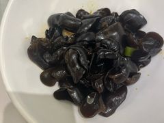 -骏莱海鲜鱼港(五角场店)