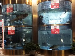 -蜀滋香鲜鱼美蛙火锅(339店)