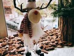 -蝶舍·MAISON PAPILLON