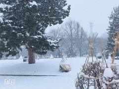 -北海道厅旧本厅舍(旧本庁舎)