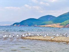 -丽江泸沽湖景区
