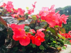 -云溪植物园