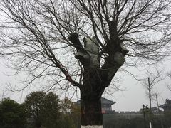 -董永七仙女文化园