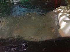 -金隅凤山酒店