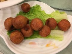 -陶然饺子城(奥体中路店)