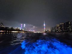 -珠江夜游省总码头
