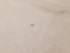-青岛海泉湾皇冠假日度假酒店