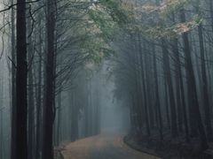 -山王坪喀斯特国家生态公园
