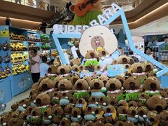 -酷乐潮玩(北京超极合生汇店)