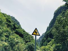 -陕西省红河谷森林公园