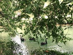 -长白岛森林公园