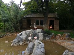 -昆明动物园