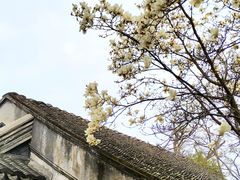 -常熟方塔园