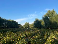 -祥源·阜阳生态乐园