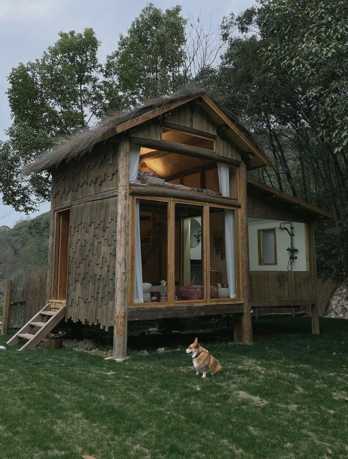no.10丨带毛孩子住进森林小木屋民宿