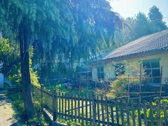 -铁山坪森林公园