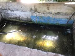 -姥家大锅台水库渔家