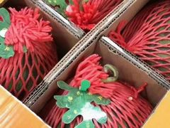 -上海龙吴水胜海发市场