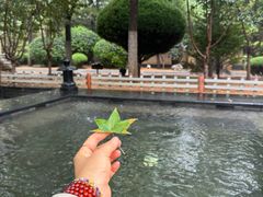 -东方华地城湿地温泉度假区