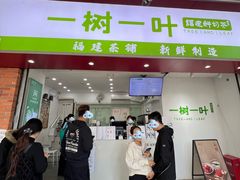 -一树一叶·福建茶档(石鼓路店)