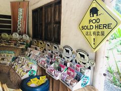 -大象粑粑造纸公园