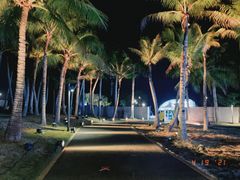 -欢乐海岸椰林沙滩-2025湾区超级灯会