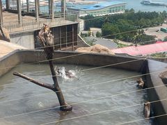 -西霞口神雕山野生动物世界