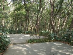 -杭州半山国家森林公园