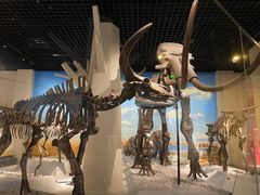 -国家自然博物馆